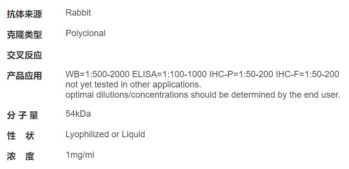 Rabbit Anti-Dengue virus envelope glycoprotein E/HRP Conjugated antibody