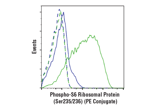 Phospho-S6 Ribosomal Protein (Ser235/236) (D57.2.2E) XP Rabbit mAb (PE Conjugate)
