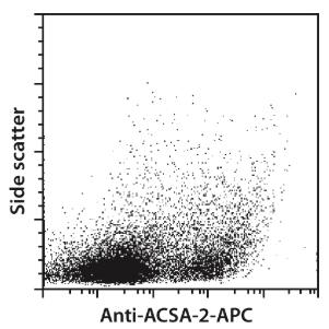 Anti-ACSA-2-APC, mouse, IH3-18A3, 100 t