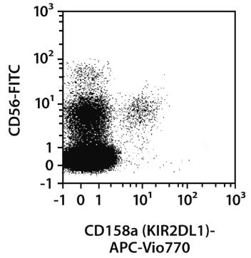 CD158a (KIR2DL1)-APC-Vio770, h, REA284,