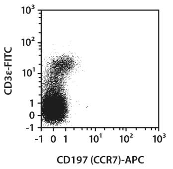 CD197 (CCR7) Antibody, anti-mouse, APC, REAfinity