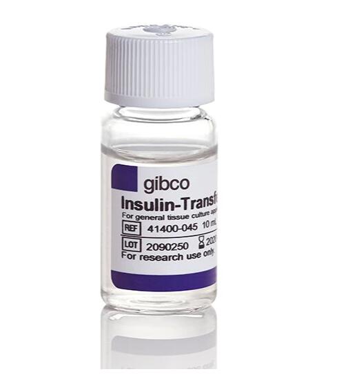 胰岛素-转铁蛋白-硒 (ITS -G) (100X)
