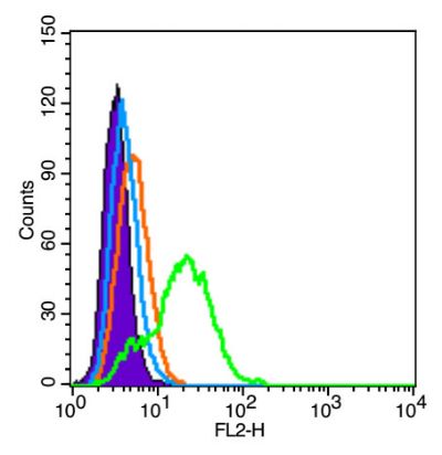 血管假性血友病因子/血管性血友病因子抗体