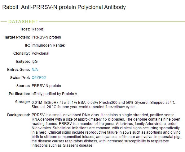猪蓝耳病病毒N蛋白抗体