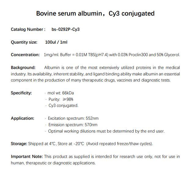 Cy3标记牛血清白蛋白