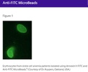 Anti-FITC MicroBeads  -lyophilized